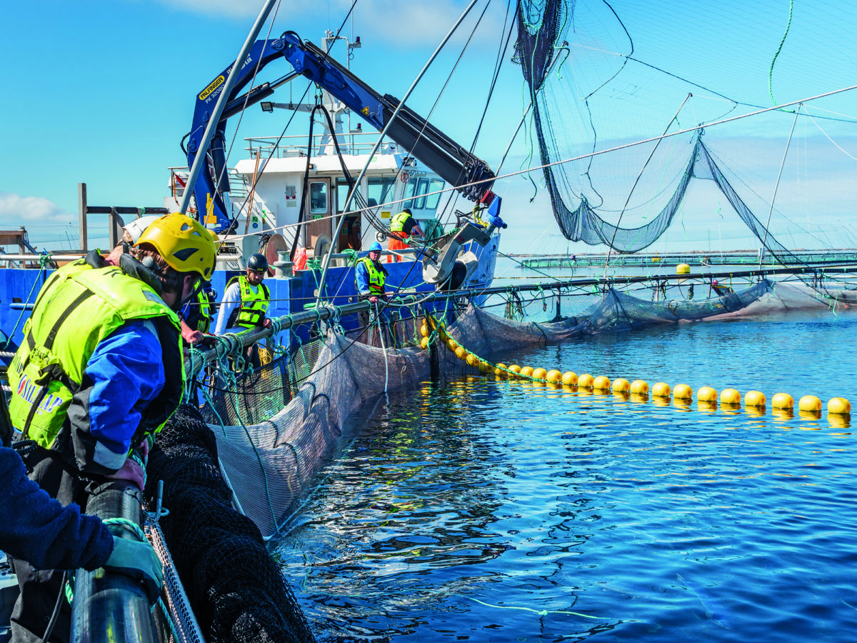 Canada fishes for success